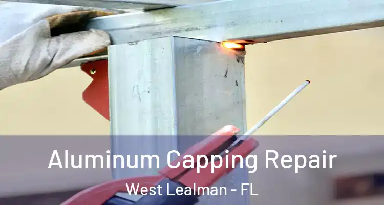 Aluminum Capping Repair West Lealman - FL