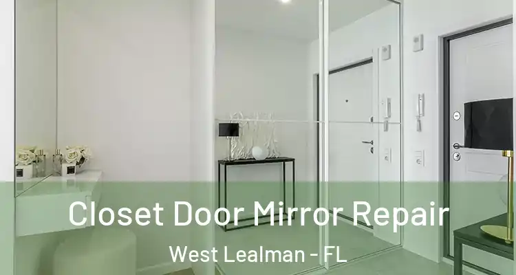 Closet Door Mirror Repair West Lealman - FL