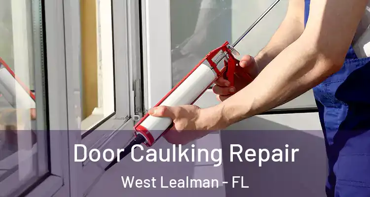 Door Caulking Repair West Lealman - FL