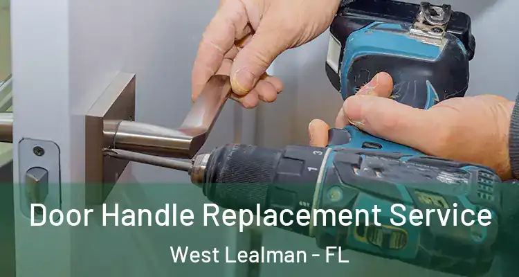  Door Handle Replacement Service West Lealman - FL