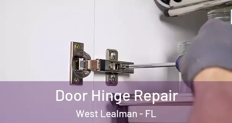 Door Hinge Repair West Lealman - FL