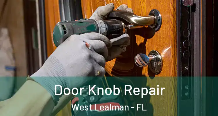 Door Knob Repair West Lealman - FL