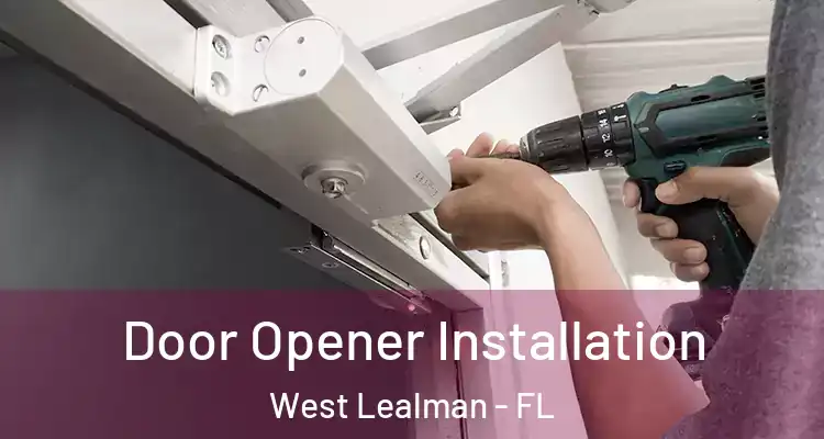 Door Opener Installation West Lealman - FL