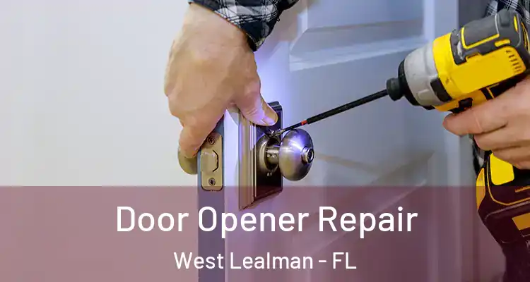 Door Opener Repair West Lealman - FL