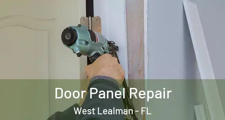 Door Panel Repair West Lealman - FL