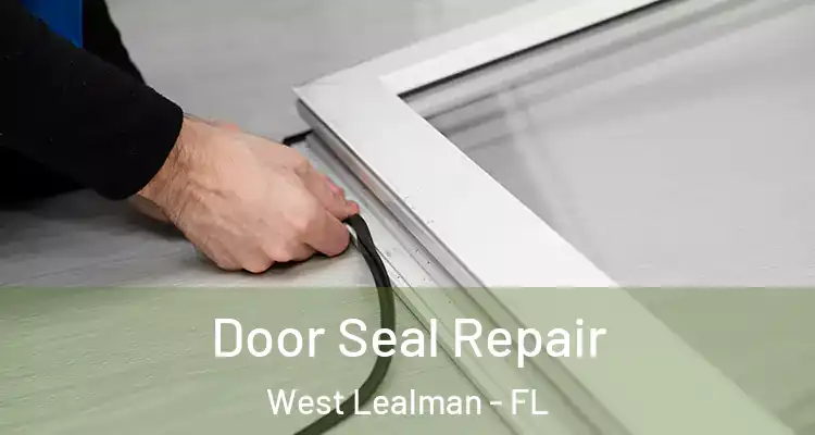 Door Seal Repair West Lealman - FL
