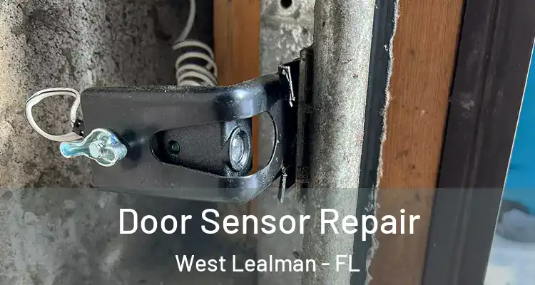 Door Sensor Repair West Lealman - FL