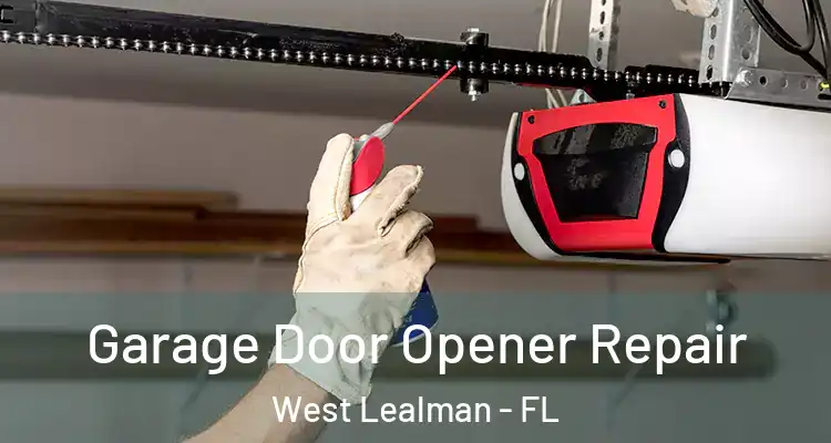 Garage Door Opener Repair West Lealman - FL