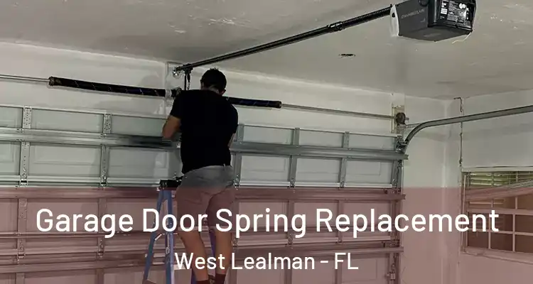 Garage Door Spring Replacement West Lealman - FL