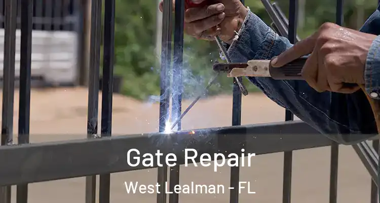  Gate Repair West Lealman - FL