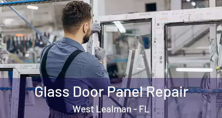 Glass Door Panel Repair West Lealman - FL
