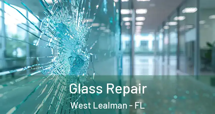 Glass Repair West Lealman - FL