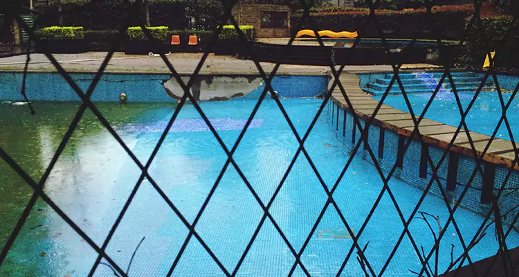 Lanai Screen Repair in West Lealman, FL