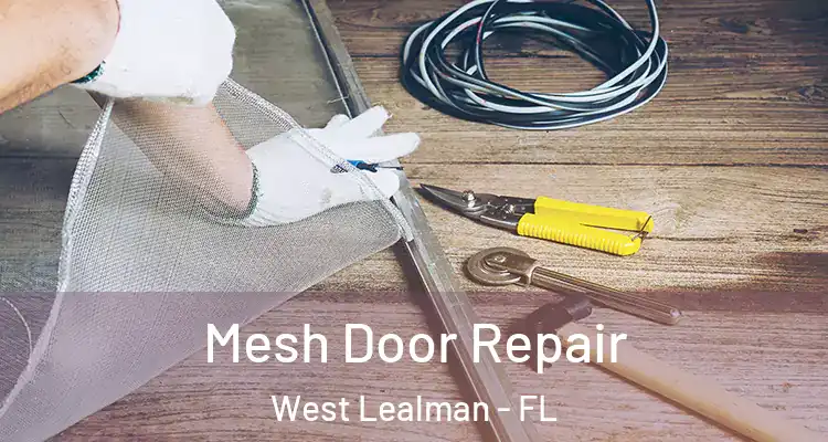  Mesh Door Repair West Lealman - FL
