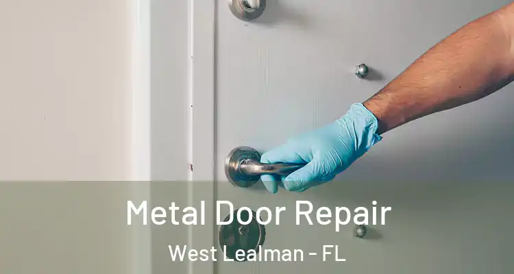 Metal Door Repair West Lealman - FL