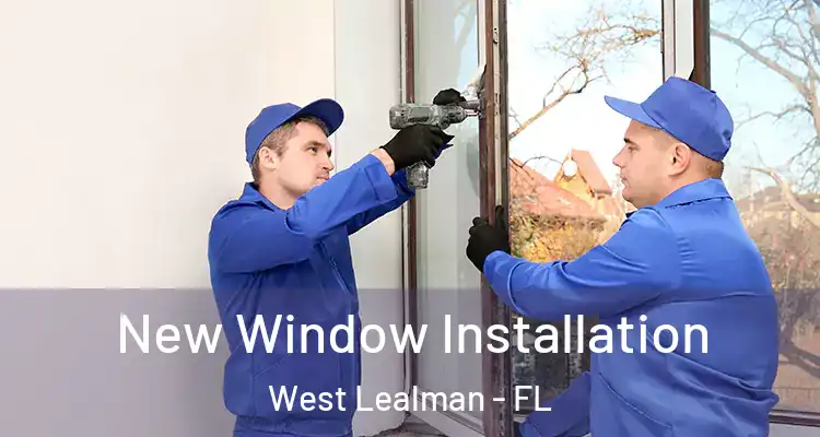  New Window Installation West Lealman - FL