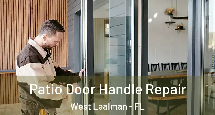  Patio Door Handle Repair West Lealman - FL