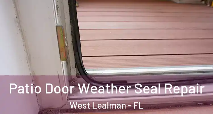 Patio Door Weather Seal Repair West Lealman - FL