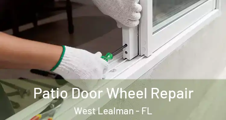Patio Door Wheel Repair West Lealman - FL