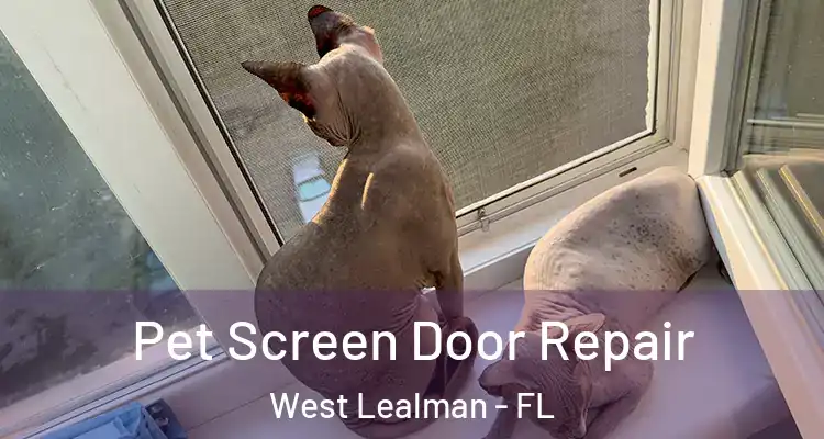  Pet Screen Door Repair West Lealman - FL