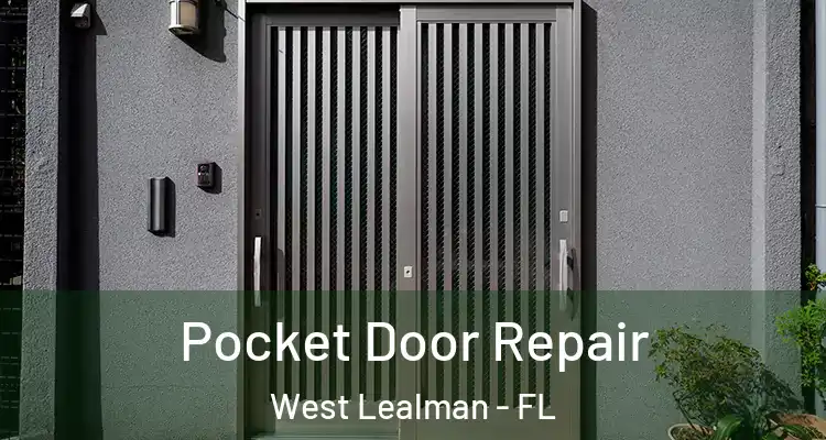 Pocket Door Repair West Lealman - FL