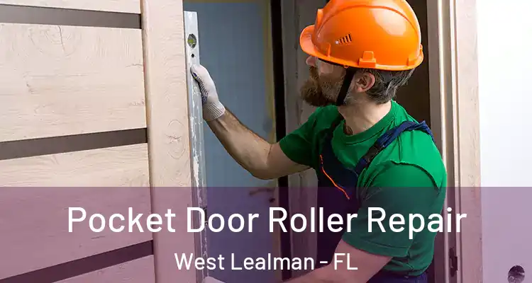 Pocket Door Roller Repair West Lealman - FL