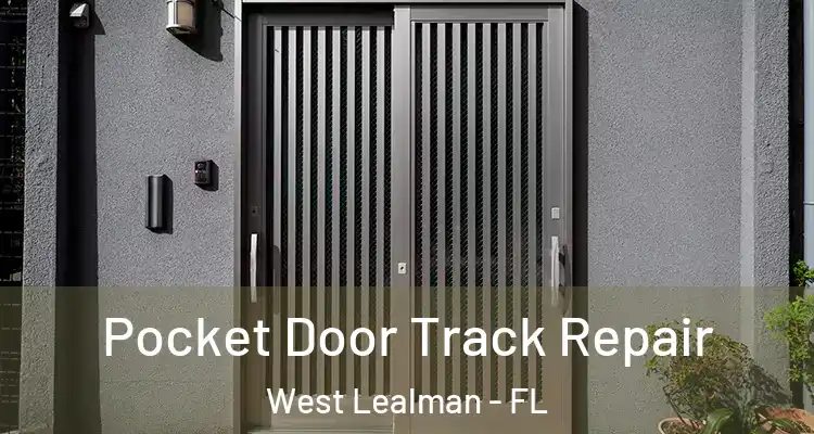 Pocket Door Track Repair West Lealman - FL