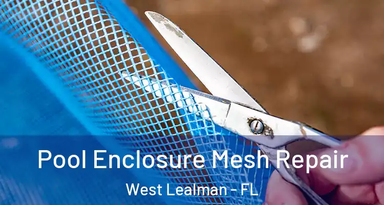 Pool Enclosure Mesh Repair West Lealman - FL