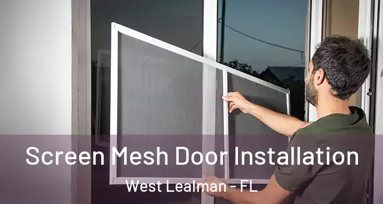 Screen Mesh Door Installation West Lealman - FL