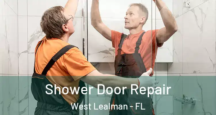 Shower Door Repair West Lealman - FL