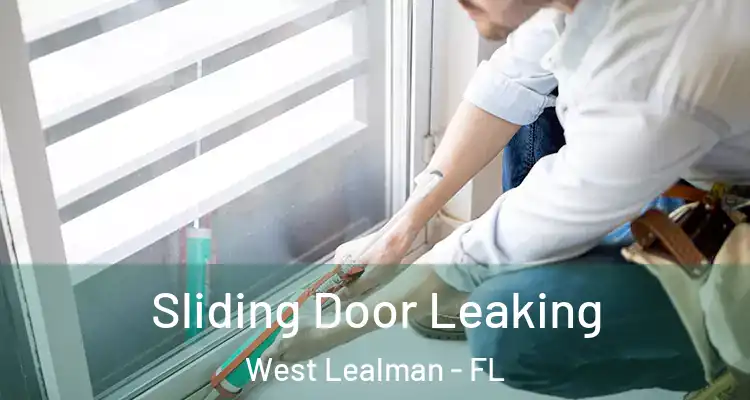 Sliding Door Leaking West Lealman - FL