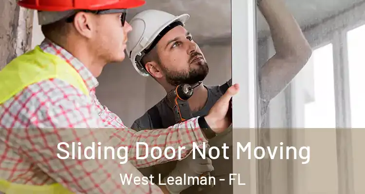 Sliding Door Not Moving West Lealman - FL