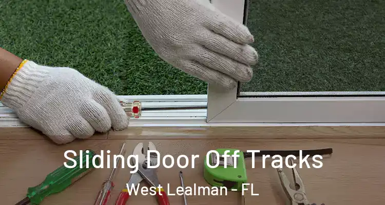 Sliding Door Off Tracks West Lealman - FL
