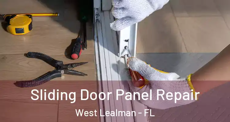 Sliding Door Panel Repair West Lealman - FL