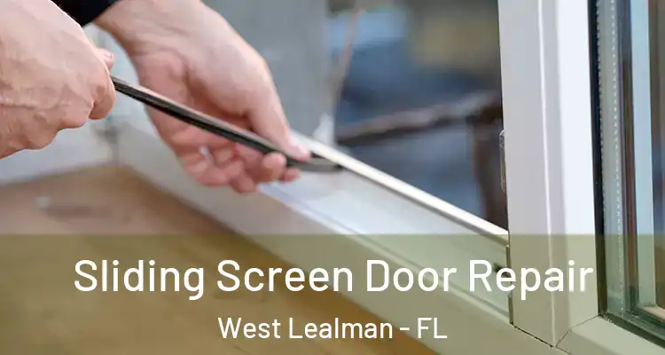 Sliding Screen Door Repair West Lealman - FL