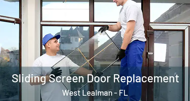 Sliding Screen Door Replacement West Lealman - FL