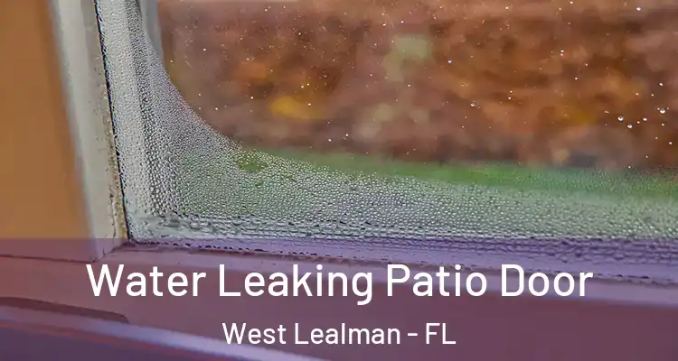 Water Leaking Patio Door West Lealman - FL