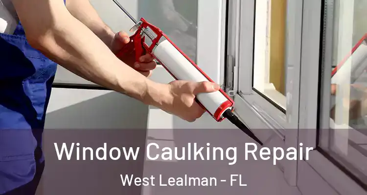 Window Caulking Repair West Lealman - FL