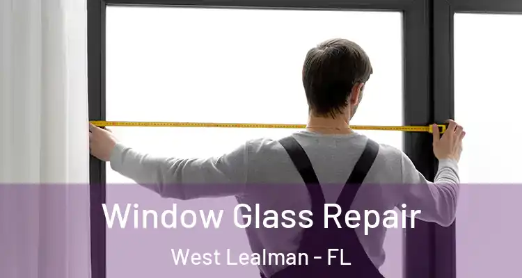 Window Glass Repair West Lealman - FL