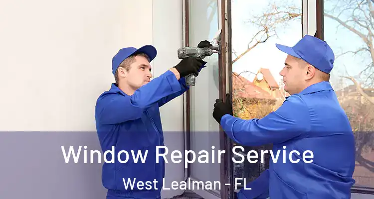 Window Repair Service West Lealman - FL